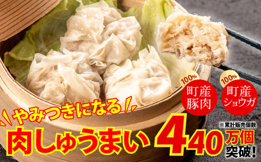 やみつきになる美味さ!旨味がギュッと凝縮された肉しゅうまい (計24個)Qak-A26 肉しゅうまい ニク シュウマイ 特産品 名産品 お取り寄せ 人気 おすすめ 四万十 焼売 レンジ 国産