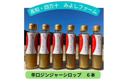 四万十の台地で育った辛口ジンジャーシロップ6本 Fmf-02 生姜 しょうが 生姜シロップ