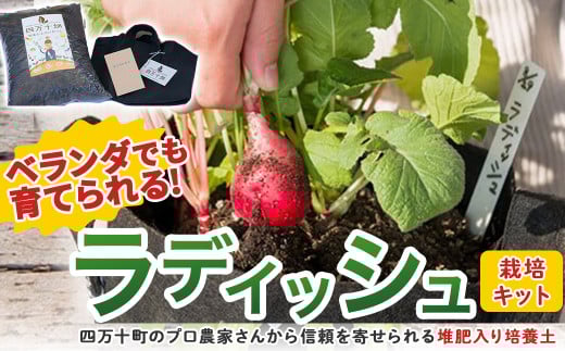 ベランダでも育てられるラディッシュ栽培キット /Fis-B08 趣味 ガーデニング 家庭菜園 園芸 ベランダ菜園 プランター 種 種子 プロ仕様の肥料 培養土 サラダに