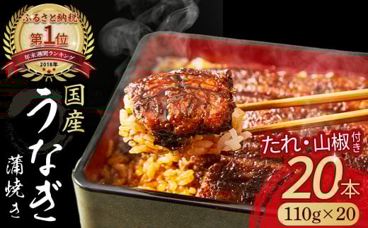 うなぎ蒲焼き 20尾セット Esu-118 国産 うなぎ 鰻 名店 タレ付き 山椒付き  鰻蒲焼  小分け  四万十鰻  個包装 冷凍