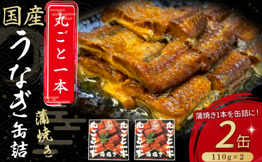 うなぎ蒲焼き丸ごと一本缶詰【蒲焼缶詰 x 2本】 Esu-123 国産 うなぎ 蒲焼 鰻 塩鰻 ウナギ 海産物 ギフト 贈答 贈り物 おつまみ 備蓄 防災 食料 長期保存 非常食 食品