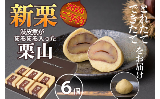 【新栗予約/2024年11月中旬以降順次発送】栗好きにはたまらない!渋皮煮を丸ごと包んだ「栗山」6個 Qdr-213 /添加物不使用 栗きんとん しまんと地栗 国産栗 和栗 栗スイーツ 渋皮煮 栗つつみ 贈りもの 手土産 ギフト お取り寄せ 高知 四万十 四万十ドラマ 御祝 和菓子 熨斗 御年賀 お歳暮