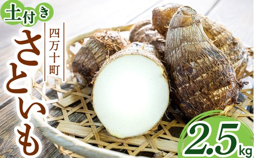 【四万十町産】 土付き さといも (2.5kg)Fiz-A03 農産物 新鮮 里芋 里いも 野菜