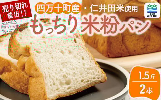 道の駅で売り切れ大人気!モッチリ食感の米粉パン「もち肌美食ぱん」(1.5斤×2本) Qak-38 仁井田米 にいだまい 米粉 パン 国産 米粉パン 名産品 特産品 お取り寄せ 食パン 冷凍