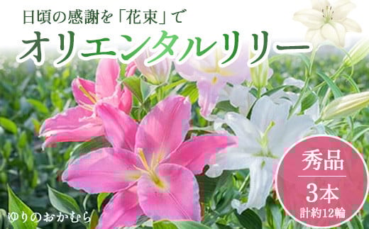 日頃の感謝を「花束」で、オリエンタルリリー【秀品3本】Osy-01 誕生日 植物 フラワー ギフト プレゼント