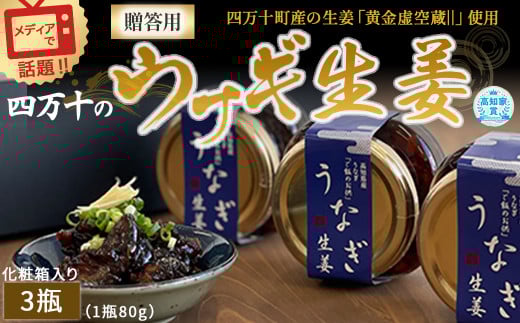 四万十うなぎ生姜 3瓶(1瓶80g入り)  /Ess-28 ご飯のお供 鰻 ショウガ しょうが 肴 常温 四万十鰻  国産