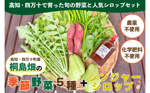 【栽培期間中、農薬・化学肥料不使用】 桐島畑の季節野菜(5種類)+ジンジャーシロップ1本  Fkh-11  /  やさい 国産野菜 四万十 高知 季節 フレッシュ 旬 無農薬 有機農業 生姜 粗糖 温活 ジンジャーエール ホットジンジャー