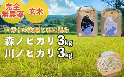 【2025年産米】完全無農薬の玄米『森ノヒカリ(3kg)』『川ノヒカリ(3kg)』セット Bnm-A21 /お米 朝日 米 数量限定 四万十 高知 チェーン除草 贈り物 ギフト プレゼント お取り寄せ お歳暮 お中元 御年賀