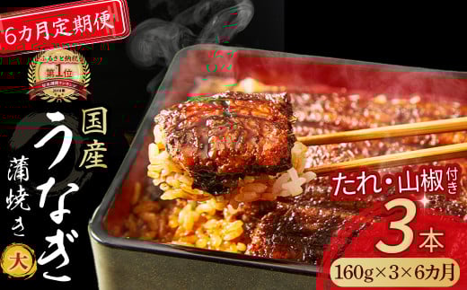 〈鰻大好き定期便〉うなぎ蒲焼き≪大≫(160g x 3本)6カ月セット Sesu-05 冷凍 蒲焼 鰻 ウナギ うなぎ 蒲焼き 肉厚 土用の丑の日 本格うなぎ