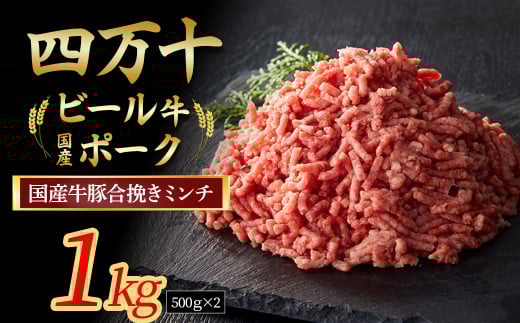 【3月配送】 国産牛肉 豚肉の合挽肉 1kg（500g×2） 配送月指定 Asz-B14 国産 牛肉 豚肉 ミンチ 合挽肉 小分け 冷凍 四万十ポーク ハンバーグ 人気
