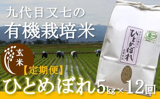 10月スタート【定期便12回】九代目又七の【玄米】有機ひとめぼれ5kg