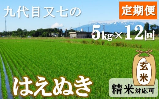 【定期便12回】九代目又七の【玄米】はえぬき5kg　有機土壌醸成農法※発送開始【新米10月～】