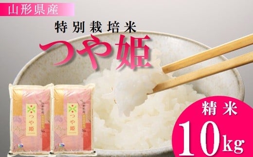 【令和7年産・精米】竹原田ファームの特別栽培米つや姫10kg（5kg×2袋）　※10月中旬頃から順次配送