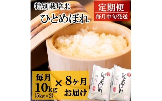 令和7年産【定期便8回】竹原田ファームの特別栽培米ひとめぼれ10kg(5kg×2袋)×8回