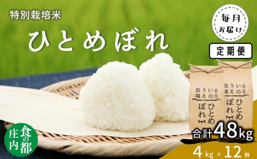 食の都庄内　【定期便12回】井上農場の特別栽培米 ひとめぼれ 4kg×12回