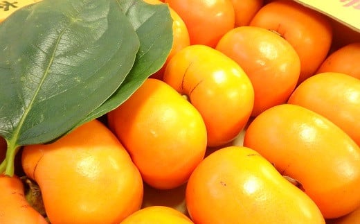 治郎左エ門の庄内柿（1箱約5kg）※11月上旬から順次配送