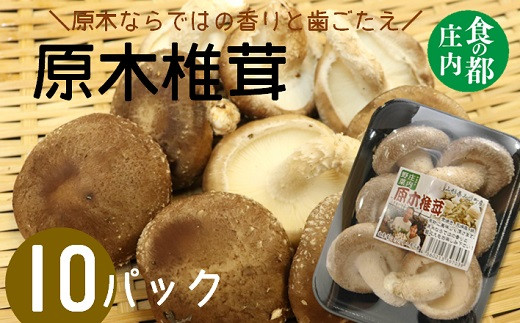 食の都庄内 原木しいたけ(まさに木の子)10パック