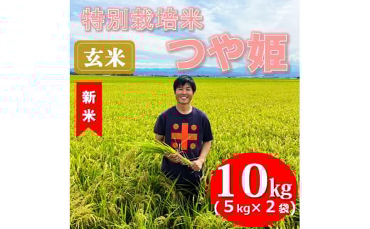 【令和7年産・玄米】ecofarmすがわらの特別栽培米つや姫10kg※10月下旬頃から順次配送