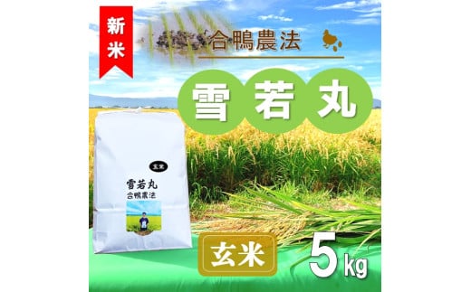 【令和7年産・玄米】ecofarmすがわらの合鴨農法雪若丸5kg※10月下旬頃から順次配送