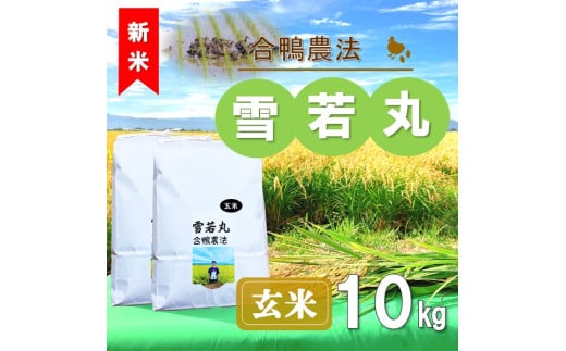 【令和7年産・玄米】ecofarmすがわらの合鴨農法雪若丸10kg※10月下旬頃から順次配送