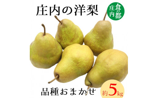 食の都庄内 庄内の洋梨(品種おまかせ)約5kg※9月下旬~1月下旬頃まで配送