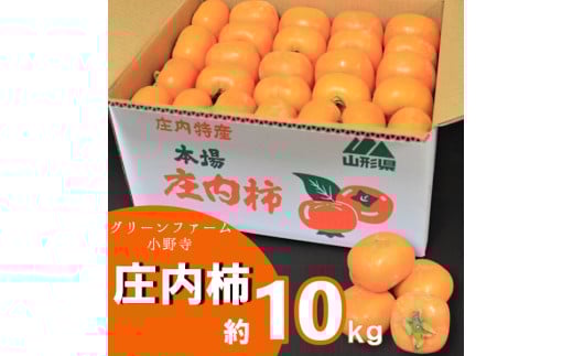 グリーンファーム小野寺の庄内柿1箱約10kg ※11月中旬頃から順次配送予定