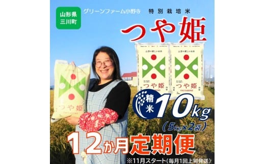 11月スタート【定期便12回】グリーンファーム小野寺のつや姫10kg×12回　※配送期間：令和7年11月～令和8年10月