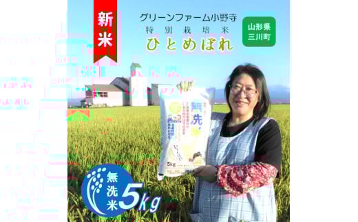 [令和7年産][無洗米]グリーンファーム小野寺のひとめぼれ5kg ※10月中旬頃から順次配送予定
