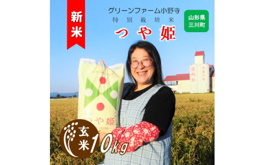 【令和7年産・玄米】グリーンファーム小野寺の特別栽培米つや姫10kg　※10月中旬頃より順次配送予定