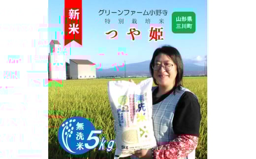 [令和7年産][無洗米]グリーンファーム小野寺のつや姫5kg ※10月中旬頃から順次配送予定