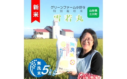 [令和7年産][無洗米]グリーンファーム小野寺の雪若丸5kg ※10月中旬頃から順次配送予定
