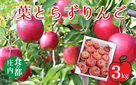 食の都庄内 葉とらず赤りんご 約3kg※11月頃から順次発送