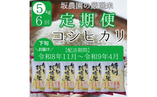 【令和8年11月～令和9年4月】コシヒカリ5kg×6回