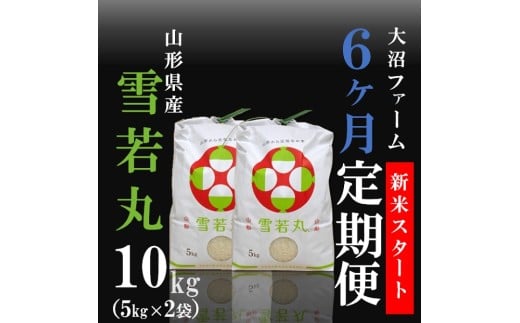 10月スタート[定期便6回]大沼ファームの雪若丸10kg