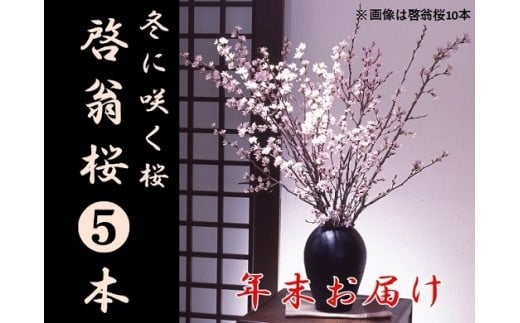 食の都庄内 【年末お届け】啓翁桜(5本束)