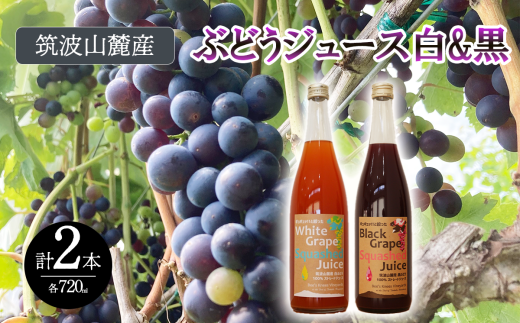 つくば市 筑波山麓産 ぶどうジュース 2本セット ビーズニーズヴィンヤーズ/Bee's Knees Vineyards 【 ジュース ストレート 100% ぶどう ブドウ 白ぶどう 黒ぶどう ワイン専用ブドウ品種 果物 フルーツ 国産 つくば市産 茨城県産 飲み物 飲料 セット 子供 おやつ 人気 おすすめ 茨城県 つくば市 】