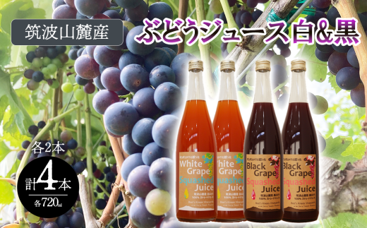 つくば市 筑波山麓産 ぶどうジュース 4本セット ビーズニーズヴィンヤーズ/Bee's Knees Vineyards 【 ジュース ストレート 100% ぶどう ブドウ 白ぶどう 黒ぶどう ワイン専用ブドウ品種 果物 フルーツ 国産 つくば市産 茨城県産 飲み物 飲料 セット おやつ 子供 人気 おすすめ 茨城県 つくば市 】