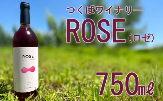 2022 つくばワイナリー ROSE 【 お酒 葡萄 ぶどう ブドウ 茨城県産 つくば市産 ワイナリー 】
