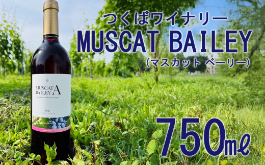 2021つくばワイナリー MUSCAT BAILEY A  【 お酒 葡萄 ぶどう ブドウ 茨城県産 つくば市産 ワイナリー 】