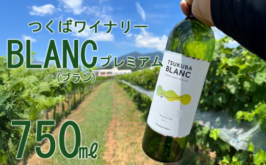 つくばワイナリー TSUKUBA BLANC プレミアム 【 お酒 葡萄 ぶどう ブドウ 茨城県産 つくば市産 ワイナリー 】