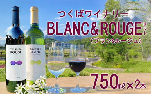 つくばワイナリー TSUKUBA BLANC & ROUGE セット 【 お酒 葡萄 ぶどう ブドウ 茨城県産 つくば市産 ワイナリー 】