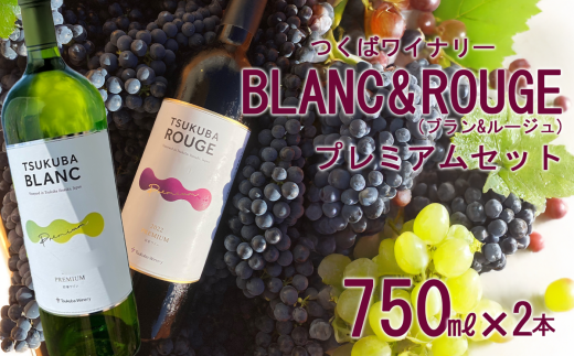 つくばワイナリー TSUKUBA BLANC & ROUGE プレミアムセット 【 お酒 葡萄 ぶどう ブドウ 茨城県産 つくば市産 ワイナリー 】