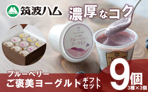 [筑波ハム]ブルーベリー ご褒美ヨーグルトギフトセット[ 筑波ハム ヨーグルト クリームチーズ チーズ ブルーベリー ご褒美 乳 腸活 美容 健康 ギフト 贈答 茨城県産 国産 つくば市 ]