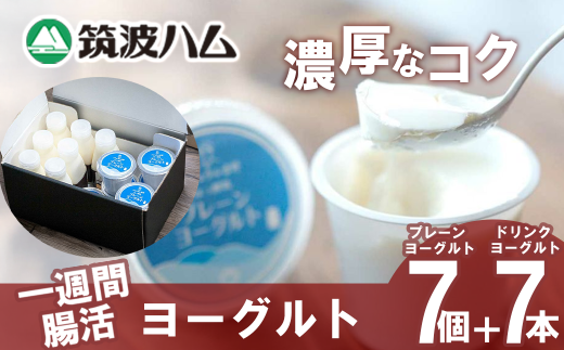 [筑波ハム]一週間腸活ヨーグルトギフトセット[ 筑波ハム ヨーグルト ドリンクヨーグルト 乳 腸活 美容 健康 ギフト 贈答 茨城県産 国産 つくば市 ]