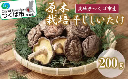干ししいたけ ( 原木栽培 )【 シイタケ 椎茸 きのこ キノコ 茸 茨城県 つくば市 】<離島・沖縄配送不可>