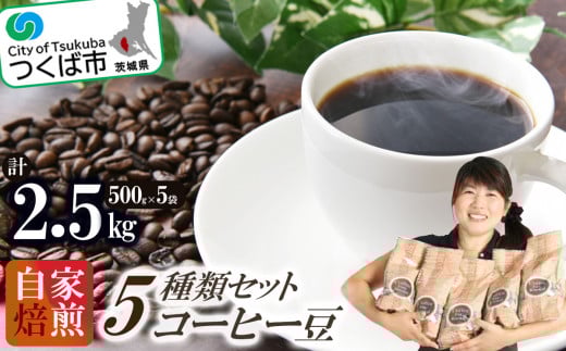 <自家焙煎珈琲豆>コーヒー豆5種類セット 500g×5袋 計2500g【 coffee 飲み比べ  珈琲 コーヒーセット ブレンド お取り寄せ ギフト 茨城県 つくば市 】