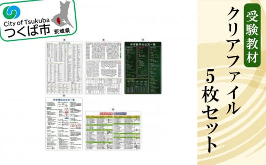 受験教材クリアファイル 5枚セット[ クリアファイル 文房具 教材 ツール 高校受験 暗記 記憶 視覚 勉強 学習 受験 テスト 試験 隙間時間 中学生 理科 国語 数学 歴史 英語 5教科 セット フライング・エッグ 人気 おすすめ ]