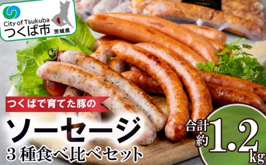 つくばで育てた豚のソーセージ3種食べ比べセット【 豚肉 おつまみ 肉 加工品 ウインナー ハム あらびき 粗びき ハーブ 茨城県 つくば市 冷蔵 セット ポーク 手作り 】