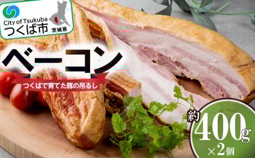 つくばで育てた豚の吊るしベーコン 2個セット【 豚肉 おつまみ 肉 加工品 ハム 茨城県 つくば市 冷蔵 セット ポーク 手作り 】