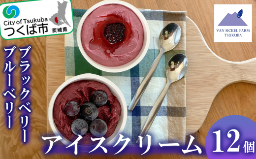 【 茨城県 つくば市産 ブルーベリー 使用 】 フローズンヨーグルトアイスセット( 12個 )【 ブルーベリー 国産 ベリー スイーツ アイス ジェラート ヨーグルト 果物 】